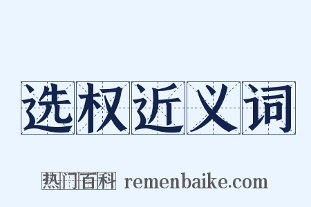 选权近义词是什么意思的图片